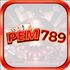 pem789 It com