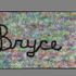 bryce george