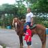 jose orlando diaz