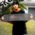 Nick Rodriguez