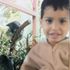 Talal M
