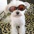 Qtip HAIrball