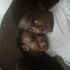 Tiffany Applewhite