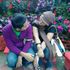 Qis Love e-one