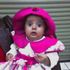 Rosa XXXXXXXX