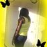 Shakemia Shamai DoN't stunt
