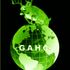 G A H C