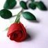 Gris Flores