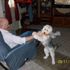 Harriet Helmick
