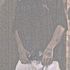 FucC yo Feelins oVer here