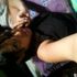 Stephany Tinoco