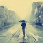 Ahmed Shawky