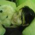 I m Single