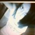 Samantha Maroney