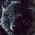 Lucian Wolf