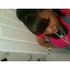 Tytianna Brown