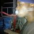 Antwan Barfield