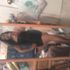 Lisha Munoz