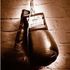 Larose Boxing Club