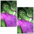 Usman Salim