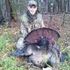 Will Coon