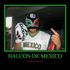 HAlcon Mexico