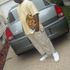Chris Abney