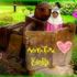 Nur Arissa Edora