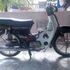 BOtak.. DiNzz..