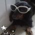 Fido Baby