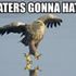 All Auburn all Time