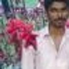 Krishna Kumar S