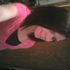 Shyanna Bolton