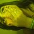 Asiendo la Diferencia