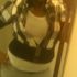Di'Rajia Evans