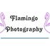 Flamingo Photography