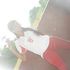 Cesar David V R