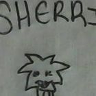 Sherri Frantz