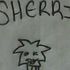 Sherri Frantz