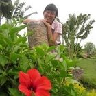 Trần Hoài Dương