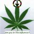 Marry Jane