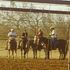 Ropin Pen