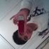 David Lopez