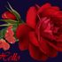 Kay Teasley