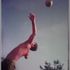 luke taylor