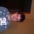nick elmore