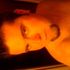 stephen goslow