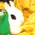 Sati Bunni