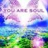 You are Soul