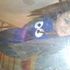 Taylor Lovee